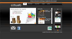 Desktop Screenshot of cobweb.fr